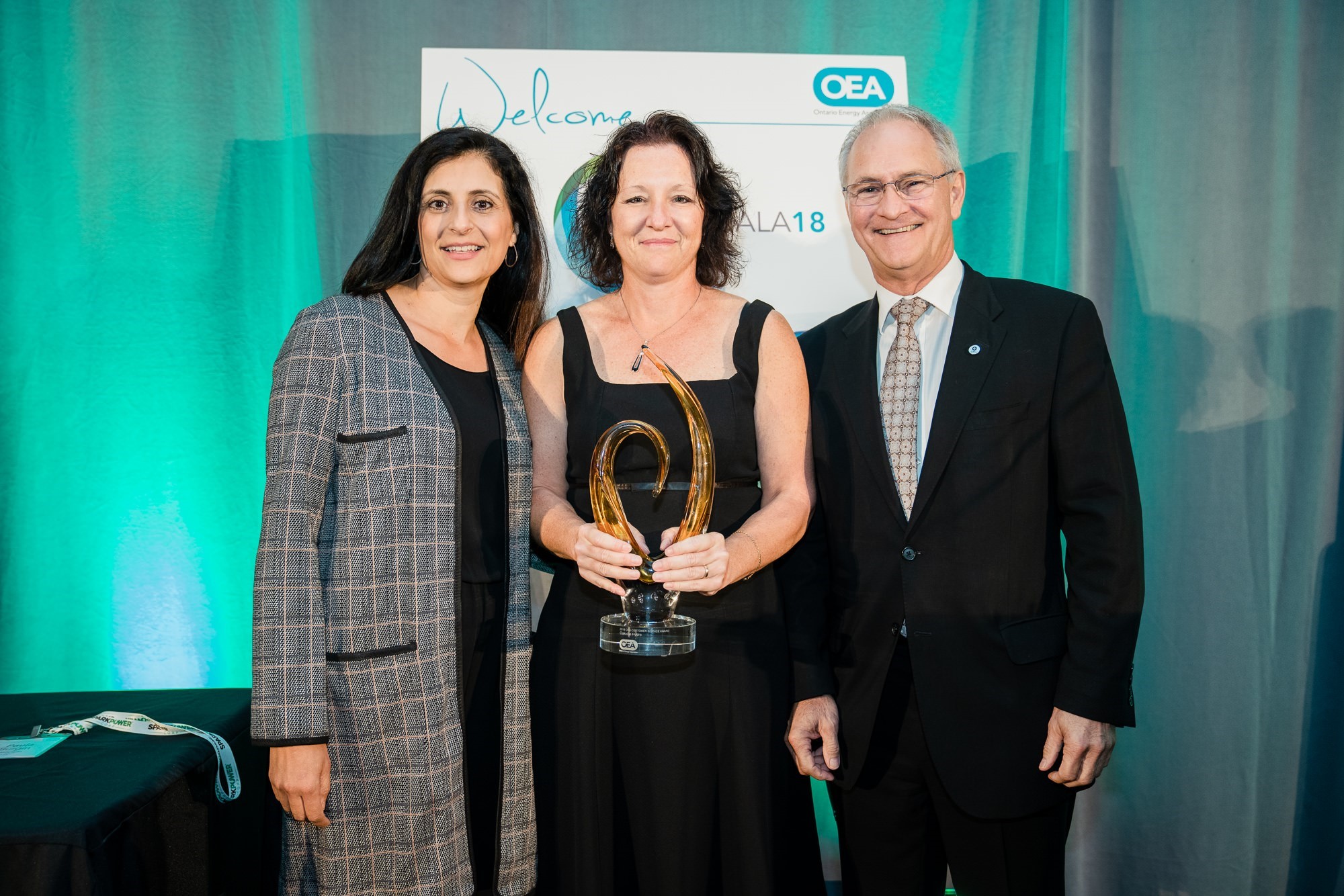 Mary Caputi, Paula Burgin and Rob Lister accept the award.